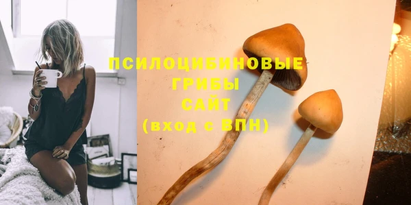 a pvp Бородино