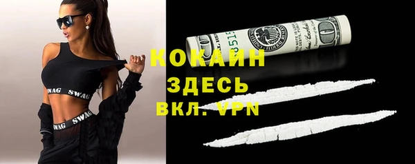 a pvp Бородино
