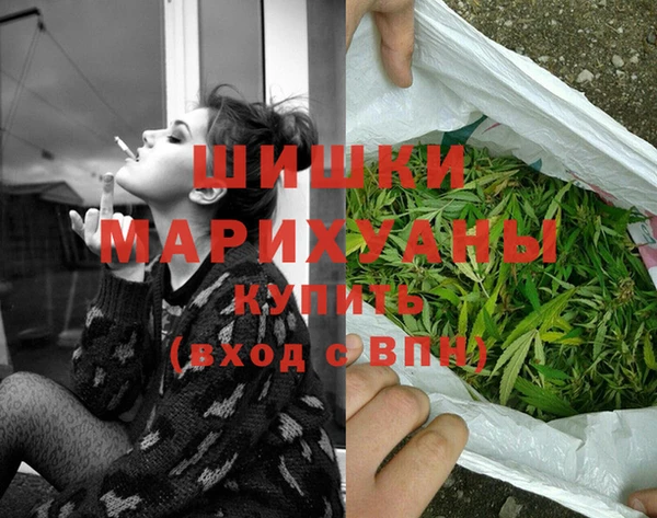 PSILOCYBIN Бронницы