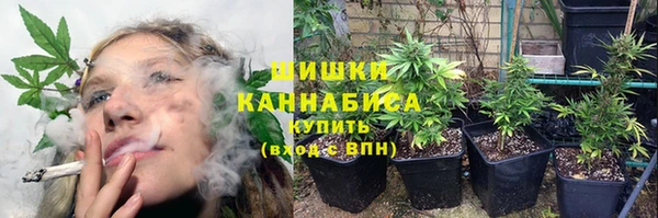 a pvp Бородино