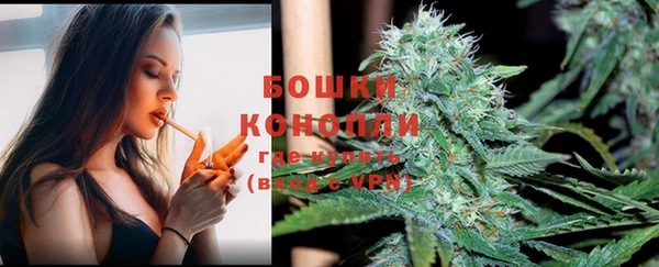 PSILOCYBIN Бронницы