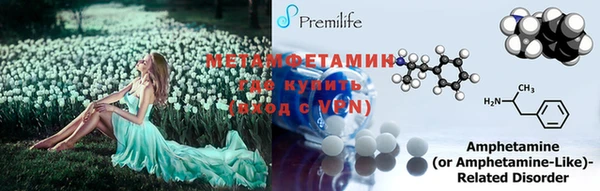 a pvp Бородино