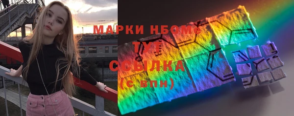 a pvp Бородино